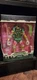 Super 7 TMNT Ultimates Mutagen Man GITD Figure Entertainment Earth EXCLUSIVE