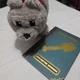 Minecraft Movie Plush Dennis Wolf Mattel New With Construction Guide