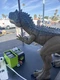 Mattel HRX53 Jurassic World Super Colossal Allosaurus Dinosaur 38'' Long