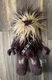 LEGO Star Wars 13" Inch CHEWBACCA Plush Collectible Character Lego Hands