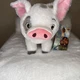 Moana Pua Standing Plush Pig 10" Disney Store Genuine Stuffed Animal