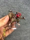 1/6 Hot Toys CMS06 Marvel Zombies Zombie Deadpool Raccoon for Action Figure