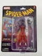 Hasbro Spider-Man Marvel Legends Spider-Boy 6-Inch Action Figure