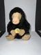 Noble Collection Fantastic Beasts Harry Potter Niffler Plush 8&rdquo; Used (READ)
