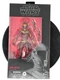 Hasbro Star Wars: The Rise of Skywalker Black Series #103 ZORII BLISS 6" Figure