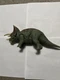 2021 New Mattel Jurassic World Dominion Triceratops Collector Action Figure