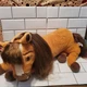 Dreamworks Spirit Stallion Large Jumbo Plush 18" Pony Horse-A1