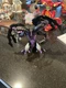 Bakugan Battle Planet Nillious Deluxe 7in Action Figure Spin Master