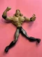 2002 WWE Chris Jericho Jakks Pacific Flex'ems Wrestling Figure Bendable Rubber