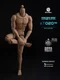 worldbox 1/6 body AT020 Male 