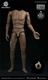 WorldBox 1/6 MK100 Spider Man Action Figure Muscle AT020 Nude Body Model Dolls