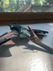 Mattel Jurassic World: Fallen Kingdom Roarivores Pteranodon