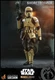 Shoretrooper The Mandalorian TMS031 Star Wars Hot Toys Never Displayed