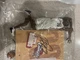 McFarlane Sportspicks: NBA Series 5 Lebron James #23 Action Figure