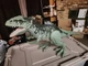 Jurassic World Dominion Super Colossal Giganotosaurus Giant Dinosaur Figure 36&rdquo;