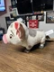 Disney Moana PUA the Pig 11" Electronic Toy Oinks & Walks by Just Play