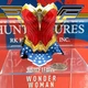 Hot Toys MMS506 concept DC Wonder Woman 1/6 action Figure's Gal Gadot Outfit 