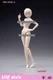 86TOYS T86-ST02A  1/12 Middle Breast Female Joint Flexible Figure Body Model Toy