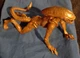 Lanard Toys Alien Xenomorph Action Figure Collectible