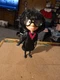 The Incredibles Edna Mode Jakks Pacific Doll 7" Figure 