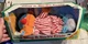 Vintage 1996 Tyco Sesame Street Sing & Snore Ernie Doll Jim Henson NIB