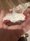 Disney Cars Cupcake Lightning McQueen Series 1:55 Was Stored In Case