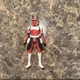 Hasbro Star Wars: The Clone Wars Clone Commander Fox Action Figure