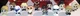 Star Wars Disney Doorables Galaxy Peek Series 2 - Complete Set of All 12 COMMONS