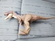 Jurassic World: Dominion Roar Strikers Rajasaurus Dinosaur Figure Dino Toy Kids