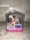 ZURU Pets Alive Booty Shakin' Pups! PUG