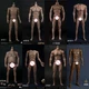 WorldBox 1/6 AT011 AT012 AT016 AT017 AT018 AT020 Muscular Male Joint Action Doll