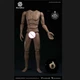 WorldBox AT020 1/6 Body Universal Version For 12" Action Figure Toys Collectible