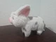 Disney Moana 10" Pua Pig Plush Original Authentic Stuffed Animal Soft Toy