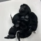 Disney Store - Mighty Joe Young - 8" Beanbag Plush - New w/ Tags - Black Gorilla