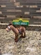 TOY STORY  2018 Mattel Disney Pixar Toy Story Bullseye 9" Inch Poseable Figure