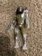 Lanard Jungle Hunter Predator 7 inch Action Figure - 31362 DD
