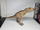 Jurassic World Camp Cretaceous Epic Roarin Tyrannosaurus Rex Mattel 2020 Works