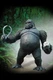 DC Direct The Flash Rogues Gallery Gorilla Grodd Deluxe 6.5" Action Figure MINT