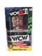 WCW&nbsp;NWO Diamond Dallas Hand Painted Bobble Head Big Boy Collectible Figure 1998 
