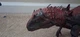HUGE 39" 5lb Jurassic World &lsquo;N Devour Indominus Rex Figure Toy - EATS DINOSAURS
