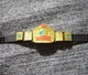 WWE Elite European Championship Title Belt Mattel Figure 1:12 Attitude Era Shiny