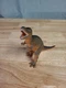 Dinosaur Tyrannosaurus Rex Rubber Toy Figurine Figure Boley TM04 5.75" Tall 