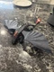 Toothless Night Fury Figure 2010 DreamWorks Spin Master How to Train Your Dragon