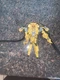 Hasbro The Fallen Constructicon Skipjack Deluxe Class