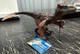 Dinosaurs Utahraptor 14582 Schleich 11627 Movable Jaw! Dino ~ New With Tags