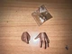 Hot Toys DX07 Star Wars Luke Skywalker 1/6 Figure Bespin Hands set 2 and pegs
