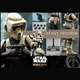 Hot Toys TMS016 Star Wars Scout Trooper 1/6 Scale Limited Edition Action Figure