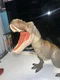 T Rex Extreme Chomping Jurassic Park World Legacy Collection 12 Inch Dino Mover