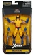 Marvel Legends X-Men 6 Inch Action Figure Apocalypse Series - Wolverine