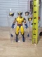 Hasbro Marvel Legends X-Men Wolverine from Jean Grey & Cyclops 3 Pack